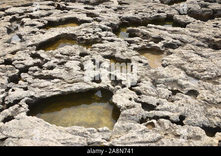 Felsenpools in Dwejra Bay, Insel Gozo, Malta Stockfoto