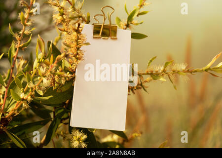 Weißbuch für eine Notiz schreiben Memo mit mit natürlichen Blumen- und Gelb Grün verlassen in Retro Vintage Style wiese Natur Hintergrund Stockfoto