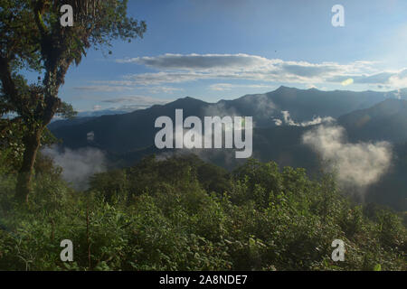 Blick auf die unberührten Bellavista Cloud Forest Reserve, Mindo, Ecuador Stockfoto