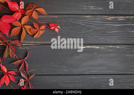 Herbst rote Blätter auf schwarz Holz- Hintergrund Stockfoto