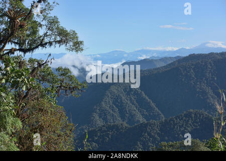 Blick auf die unberührten Bellavista Cloud Forest Reserve, Mindo, Ecuador Stockfoto