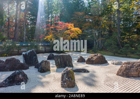 Koyasan, Präfektur Wakayama, Japan - 31. Oktober 2019: ein Rock Garden in Kongōbu-Tempel auf einem sonnigen Herbsttag Stockfoto