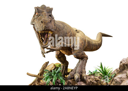 Tyrannosaurus Rex. T-Rex ist Wandern, Knurren und offenen Mund auf Fels. Weiß isoliert Hintergrund. Embedded Beschneidungspfade. Stockfoto