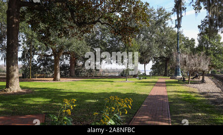 Emmet Park in der Savanne Stockfoto