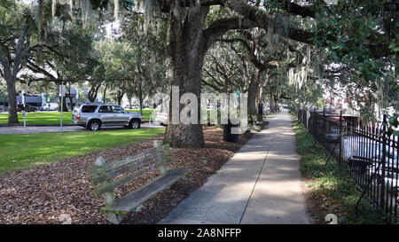 Emmet Park in der Savanne Stockfoto