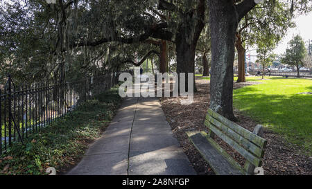 Emmet Park in der Savanne Stockfoto