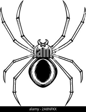 Spider Abbildung in Gravur Stil. Halloween Theme. Design Element für Poster, Karten, Banner, Emblem, sign. Vector Illustration Stock Vektor