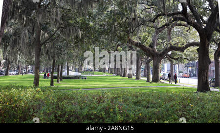 Emmet Park in der Savanne Stockfoto