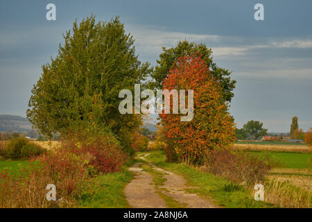 Schmutz der Straße im Herbst bunte Felder ruhigen Herbst Landschaft Stockfoto
