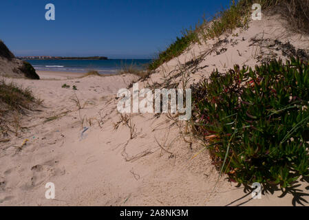 Gamboa Strand Peniche Portugal Stockfoto