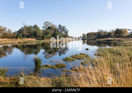 Fen an Moor- und Heidelandschaft st Naturschutzgebiet DES trabrechtse Heide' in den Niederlanden Stockfoto