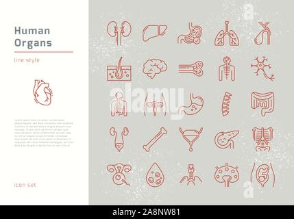 Große Satz linearer Vector Icons von menschlichen Organen mit Signatur. Stock Vektor