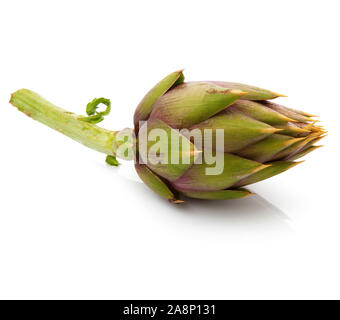 Frische Artischocke auf weißem Hintergrund Stockfoto