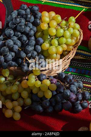 Schwarze und weiße Trauben in einem Korb; Stockfoto