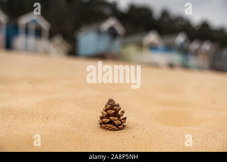 Ein tannenzapfen in den Sand am Strand, mit Strand Hütten im verschwommenen Hintergrund, in Brunnen gesehen-next-the-Sea, Norfolk, England, Großbritannien Stockfoto