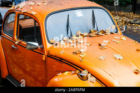 Ein helles Orange ungewaschene VW Beetle Auto mit Herbstlaub, London, UK Stockfoto