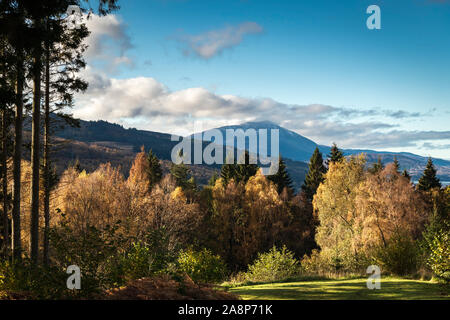 Der Munro, die Schiehallion, vom Tay Forest Park in der Nähe von Queens, Schottland gesehen. 29. Oktober 2019 Stockfoto