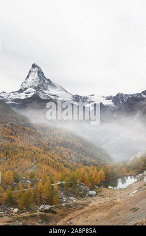 Wunderschöne Aussicht über Neblig gelbe Lärchen Wald Richtung Matterhorn im Herbst am 5. See wandern. Stockfoto