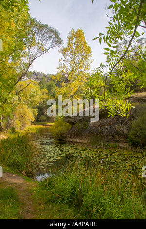 Fluss Lobos. Cañon del Rio Lobos Naturpark, Provinz Soria, Castilla Leon, Spanien. Stockfoto