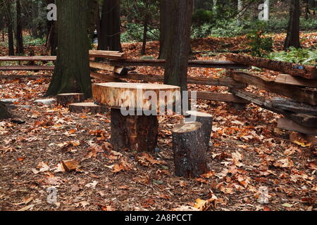 Douglasie (Pseudotsuga menziesii) anmeldet, Stühle und ein Tisch aus runden gemacht Stockfoto