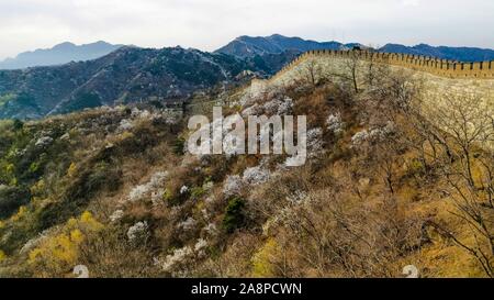 (191110) - Peking, 10. November 2019 (Xinhua) - Mobile Photo zeigt die Mutianyu Abschnitt der Großen Mauer in Peking, die Hauptstadt von China, 11. April 2019. (Xinhua / Wang Jianhua) Stockfoto