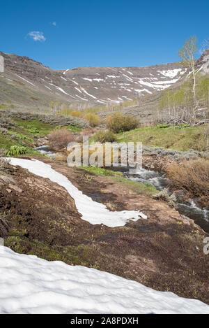 Wenig Blitzen Schlucht im späten Frühjahr, Steens Mountain, Oregon., Steens Mountain, Oregon. Stockfoto