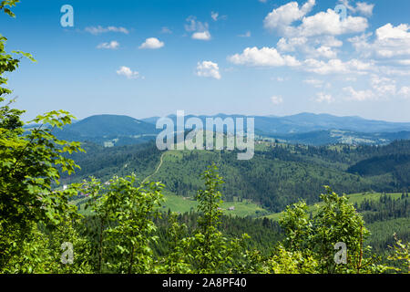 Schönen Sommer Landschaft der Karpaten in Resort Bukovel, Ukraine Stockfoto