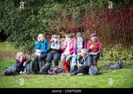 Eine Gruppe von freundlichen, weißen Wanderern mittleren Alters, die bei Herbstsonne ein Picknick-Break auf dem Land mit Wanderausrüstung mit Rucksäcken genießen Stockfoto