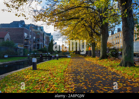 Grand Canal Leinpfad von huband Brücke Herbert Place Dublin Irland. Bunte Blätter im Herbst, Blatt überdachten Gehweg zu Baggot Street Bridge Stockfoto