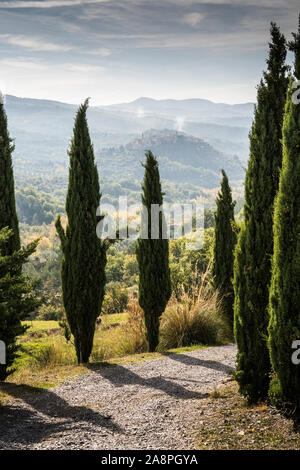 Gesamtansicht des Seggiano, Toskana, Italien, Europa. Stockfoto