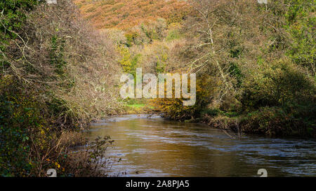 Der Fluss Camel fließt durch die Wälder im Herbst mit Farben im Wasser spiegelt. Stockfoto