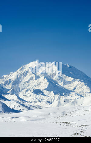 Nordamerika; USA; Alaska; Alaska Range Berge; Denali National Park, das Mount Denali: Winter Blick von Stony Hill Stockfoto