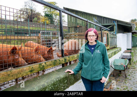 Schließung der Gorgie City Farm, die in die Verwaltung gegangen ist. Abgebildet Kopf Fundraiser Gil Vancker Stockfoto