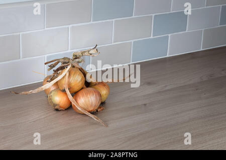 Zwiebeln auf einer Küchenarbeitsplatte Bank mit verschiedenen Kacheln im Hintergrund Stockfoto