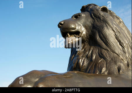 Heroische Nahaufnahme von Trafalgar Square Lion mit einer Sommer-City-Skyline in London, Großbritannien, installiert im Jahr 1867 Stockfoto