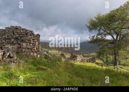 Sonnenlicht Dapples die Ruinen eines verlassenen Croft und ein einsamer Baum an einem bewölkten Morgen am Auchelie im Glen Ey im Cairngorms Nationalpark Stockfoto