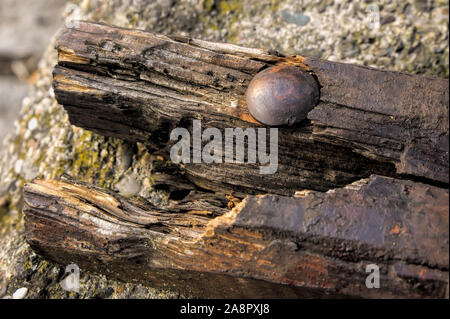 Alten morschen Planke in den Beton auf einem öffentlichen Park genagelt Stockfoto