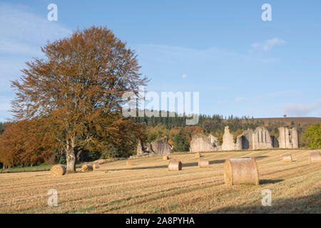 Kildrummy Castle an einem klaren Herbstmorgen auf dem Farmland mit einer Buche in einem Feld im Vordergrund und dem Mond, der oben scheint Stockfoto