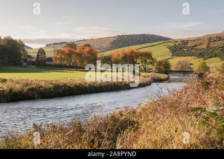 Ein herbstlicher Blick auf den Fluss Don fließt Ardhuncart Hill in Aberdeenshire, wo das Ufer bietet einen natürlichen Lebensraum für Wildtiere