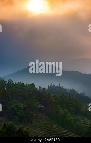 Nebelig mystische Reisfelder in die grünen Berge von Sapa valley Nordinsel Vietnam Stockfoto