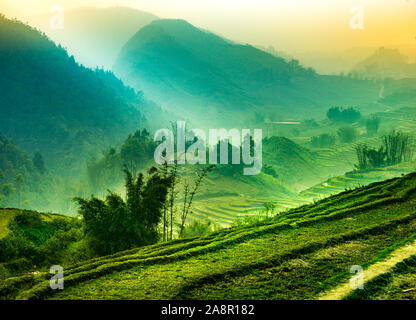 Nebelig mystische Reisfelder in die grünen Berge von Sapa valley Nordinsel Vietnam Stockfoto