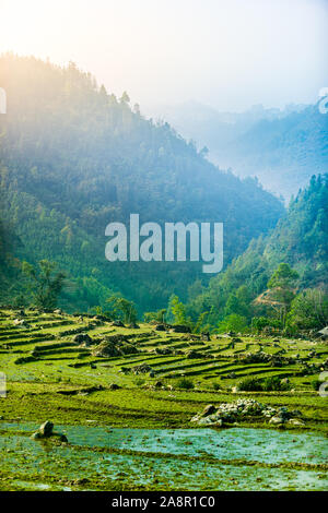 Nebelig mystische Reisfelder in die grünen Berge von Sapa valley Nordinsel Vietnam Stockfoto