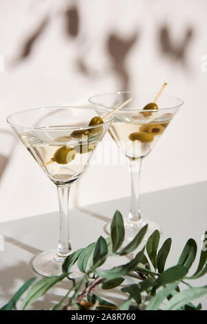 Martini mit Oliven und Olive Branch auf weißem Hintergrund Stockfoto