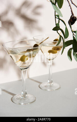 Gläser Martini und Olive Branch auf weißem Hintergrund Stockfoto
