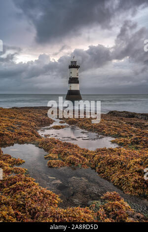 Penmon Leuchtturm Stockfoto