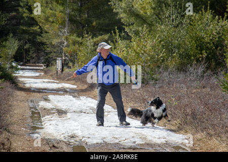 Senior warf ein Stick auf einem Trail mit seinem Hund bereit im Frühjahr zu holen. Stockfoto