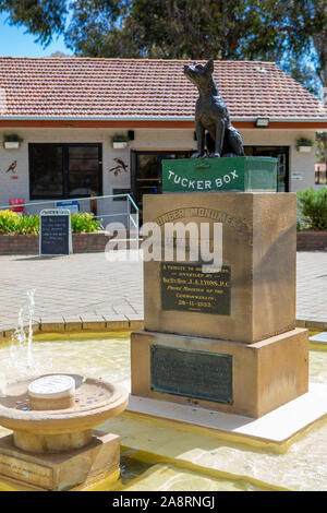 Hund auf dem Tucker, australische Legende Stockfoto
