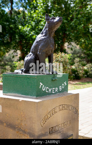 Hund auf dem Tucker, australische Legende Stockfoto