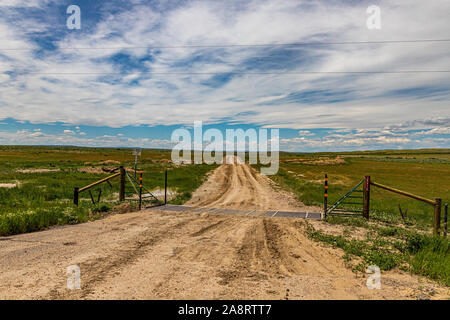 Ein Vieh Schutz über eine unbefestigte Straße in einem offenen Bereich von Wyoming in der Nähe der Laramie Mountains. Stockfoto