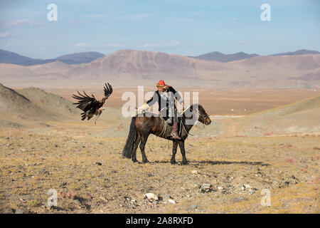 Traditionelle kasachische Eagle Hunter seinem fliegenden Steinadler Mitte - Flug auf dem Rücken der Pferde. Serie von 3 Bildern. Ulgii, Mongolei. Stockfoto